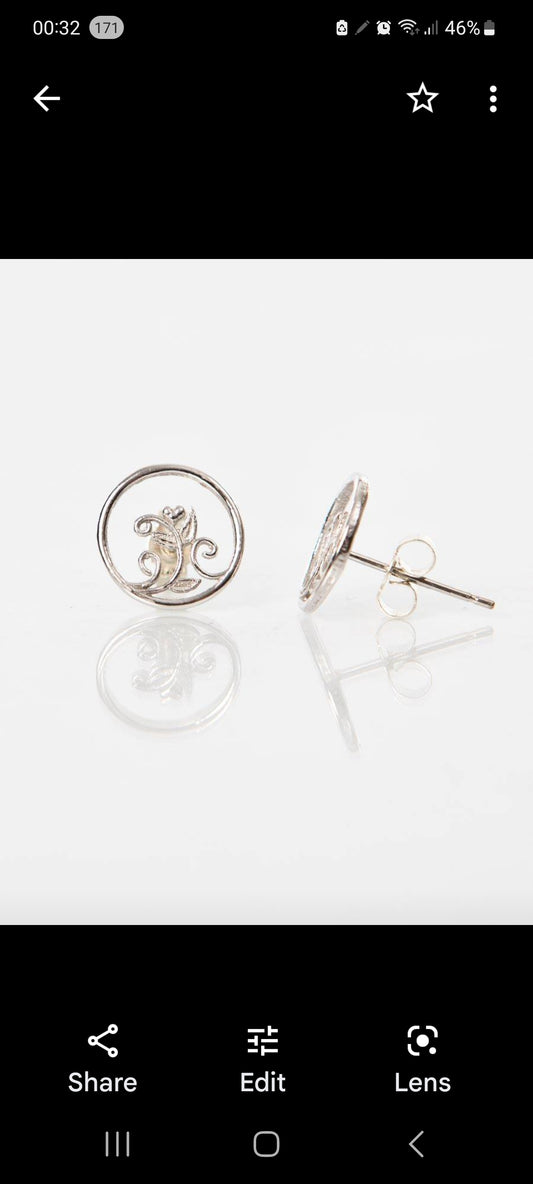 Botanical -Willow Studs earrings 9ct Gold